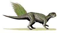 Psittacosaurus mongoliensis whole BW.jpg