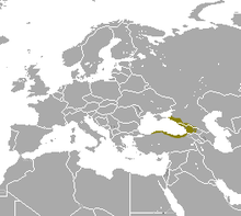 Caucasian Mole area.png