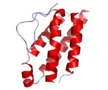 IL2 Crystal Structure.png
