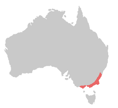 Gang-gang Cockatoo range (in red)