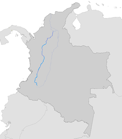 Curso del río Cauca