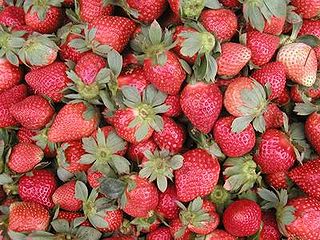 La Trinidad strawberries.jpg