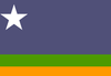 Bandera de Municipio Bejuma (Carabobo)