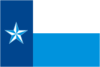 Bandera del Condado de Dallas, Texas