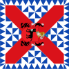 Bandera de Ochagavía
