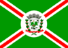 Bandera de Jandaia do Sul