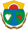 Escudo de Vichada (departamento)