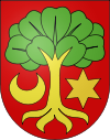 Erlach-coat of arms.svg