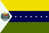 Flag of Apure State.svg