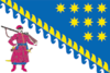 Bandera de Dnipropetrovsk