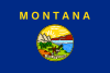 Bandera de Montana