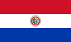 La Bandera del Paraguay.