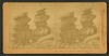 Hilarious gods, Garden of the Gods, Col., U.S.A, from Robert N. Dennis collection of stereoscopic views.png