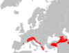 Plecotus macrobullaris range Map.png