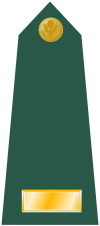 US Army O1 shoulderboard.svg