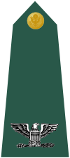 US Army O6 shoulderboard.svg
