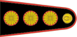 General de División.PNG