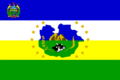 Bandera de Villa de Ortiz