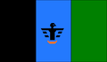 Bandera de Capital del Munipio Lagunillas