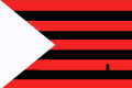 Bandera de Ungheni