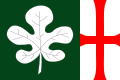Bandera de Horta de San Juan