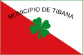Bandera de Tibaná