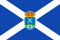 Bandera de Vega de Espinareda