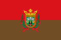 Bandera de Burgos