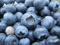 Bunch of blueberries, one unripe.jpg