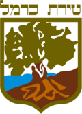 Coat of arms of Tirat Karmel.png