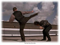 Combat Choreography Rumata 2.jpg