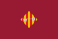 Bandera de Alcira