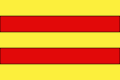 Bandera de Baraya