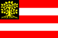 Bandera de Bolduque