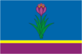 Bandera de Mozdok