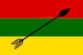 Bandera de Neiva