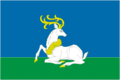Bandera de Odintsóvo