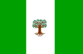 Bandera de Pachavita