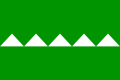 Bandera oficial de Salinas