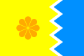 Bandera de Viña del Mar