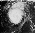 Hurricane Irene (1981).JPG