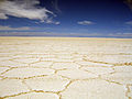 Salar de Uyuni Bolivia .jpg