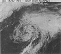 Subtropical Storm 1 (1982).JPG
