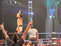 TNA Slammiversary Sting vs. Mr. Anderson champion.....champion.jpg