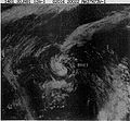 Tropical Storm Bret (1981).JPG