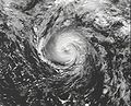 Tropical Storm Grace 2009 at peak intensity.jpg