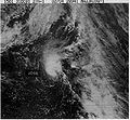 Tropical Storm Jose (1981).JPG