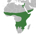 Zasieg ficus sycomorus distribution.png