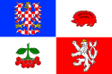 Bandera de Región de Vysočina