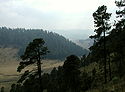 Sierra Madre.jpg
